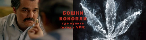 трава Арсеньев