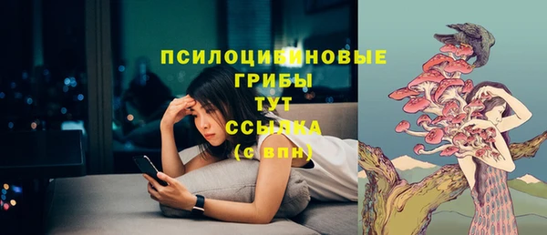 трава Арсеньев
