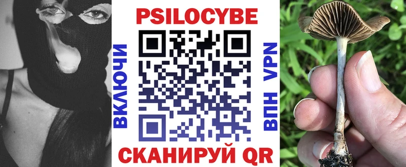 Псилоцибиновые грибы Psilocybine cubensis  Рыльск 